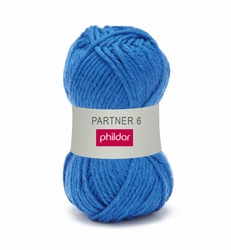 Partner 6 bleuet 0043