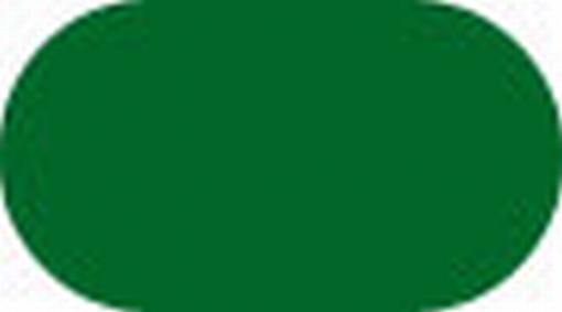 Aquamarker - Fern green AM1515