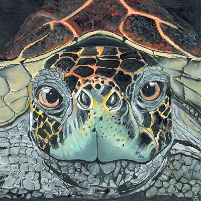 Kaart Schildpad
