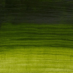 Artisan Permanent Sap Green 37 ml.